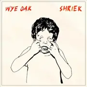 CD - Wye Oak - Shriek - Digipak