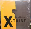 12inch Vinyl Single - X-Tribe - At Midnight