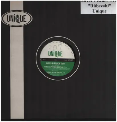 XAVER FISCHER TRIO - RUEBEZAHL-PHONEHEADS RMX