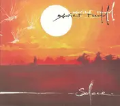 XAVIER RUDD - Solace