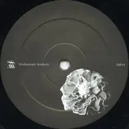 Xhin / Perc - Untitled