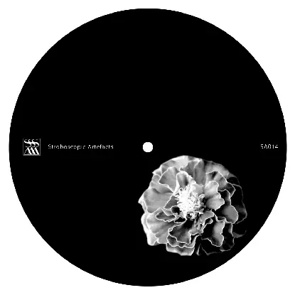 Xhin / Perc - Untitled