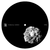 Xhin - Untitled