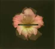 Xlover - PLEASURE & ROMANCE