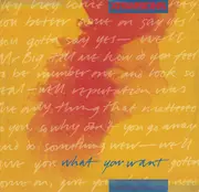 12'' - Xpansions - What You Want