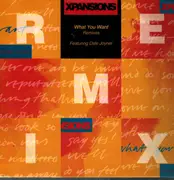 12inch Vinyl Single - Xpansions - What You Want (Remixes)