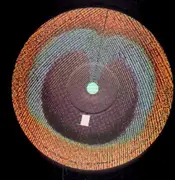 LP - XTC - Apple Venus Volume 1