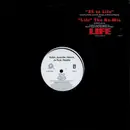 12'' - Xzibit , Juvenile , Nature , Ja Rule & Reptile - 25 To Life
