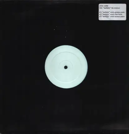 Xzibit feat. Busta Rhymes - Multiply