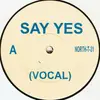 12'' - Y-Tribe - Say Yes