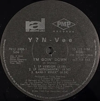 Y.N.V. - I'm Goin' Down