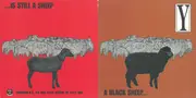 7inch Vinyl Single - Y - A Black Sheep... Is Still A Sheep - promo