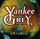 CD - Yankee Grey - Untamed