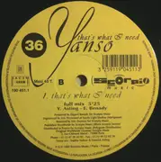 12inch Vinyl Single - Yanso - That's What I Need