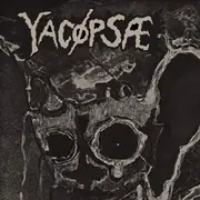 7inch Vinyl Single - Yacøpsæ / Noise Nihilist - Paranoia / New World - Limited Edition, 2', clear pressing