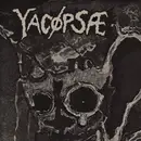 7inch Vinyl Single - Yacøpsæ / Noise Nihilist - Paranoia / New World - Limited Edition, 2', clear pressing