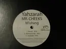 12'' - YahZarah / Mr. Cheeks - Wishing
