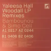 12inch Vinyl Single - Yaleesa Hall - Woodall LP Remixes