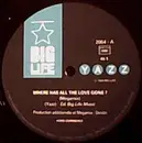 12inch Vinyl Single - Yazz - Where Has All The Love Gone?
