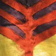 CD - Yeah Yeah Yeahs - Show Your Bones