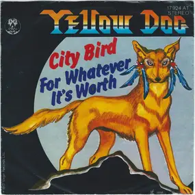 Yellow Dog - City Bird