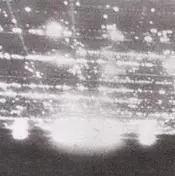 yellow swans - Going Places