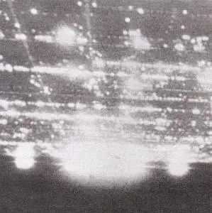 Yellow Swans - Going Places