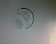 12'' - Yellowjackets - Ballad Of The Whale / Market Street - Promo