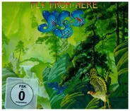Yes - Fly from Here
