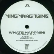 Ying Yang Twins - What's Happnin! / Salt Shaker Remix