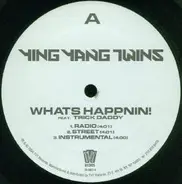 Ying Yang Twins - What's Happnin! / Salt Shaker Remix