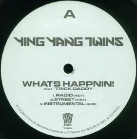 Ying Yang Twins - What's Happnin! / Salt Shaker Remix