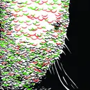 CD - Yikes - Secrets To Superflipping - EP, digipak