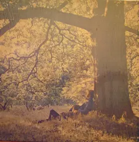 Yoko Ono - Yoko Ono / Plastic Ono Band