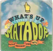 Double CD - Yo La Tengo,Pavement,Cat Power,Chavez, u.a - What's Up Matador