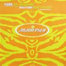 12'' - York - The Awakening