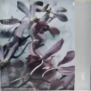 LP - Yosui Inoue - 9.5 Carats