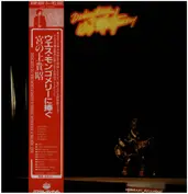 Yoshiaki Miyanoue
