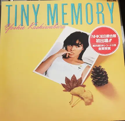 Yoshie Kashiwabara - Tiny Memory