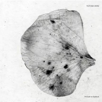 Yotam Avni - Perlude To Dybbuk