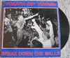 LP - Youth Of Today - Break Down The Walls - Original, red on blue cover