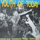 LP - Youth Of Today - Break Down The Walls