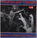 LP - Youth Of Today - Break Down The Walls
