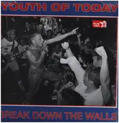 LP - Youth Of Today - Break Down The Walls