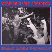 LP - Youth Of Today - Break Down The Walls