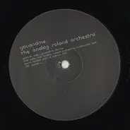 youANDme / The Analog Roland Orchestra - Baum Limited Picture Edition 004