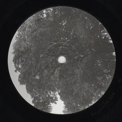 youANDme / The Analog Roland Orchestra - Baum Limited Picture Edition 004