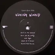LP - Youn Sun Nah - Waking World