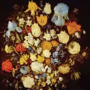 YOUNG MOON - Navigated Like the Swan