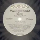 12'' - YoungBloodZ - Damn!